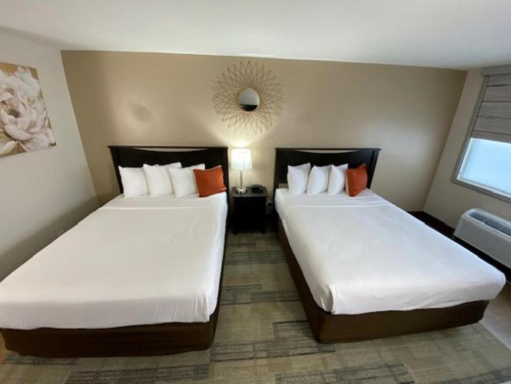 Two Queen Size Beds interior